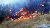 Şırnak'ta ağaçlık alanda yangın: Yüzlerce dönüm alan kül oldu