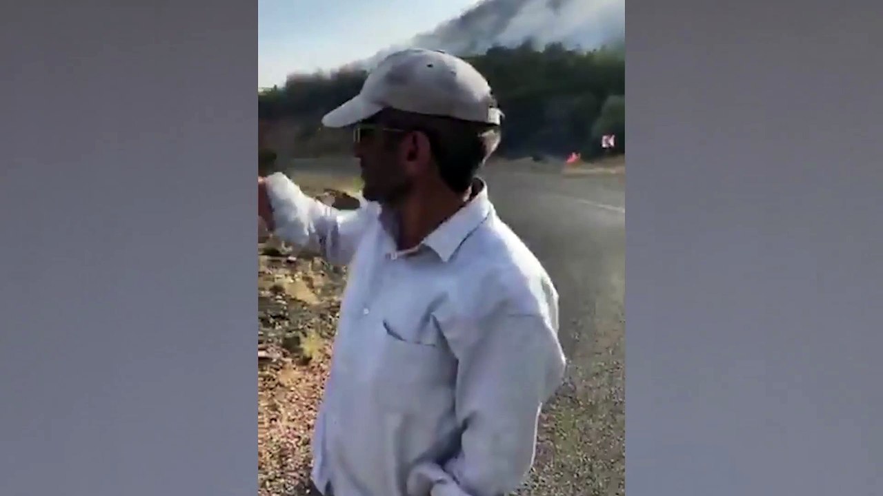 Bingöl'de 3 ayrı noktada orman yangını; 2’si söndürüldü; Servi bölgesindeki yangın sürüyor