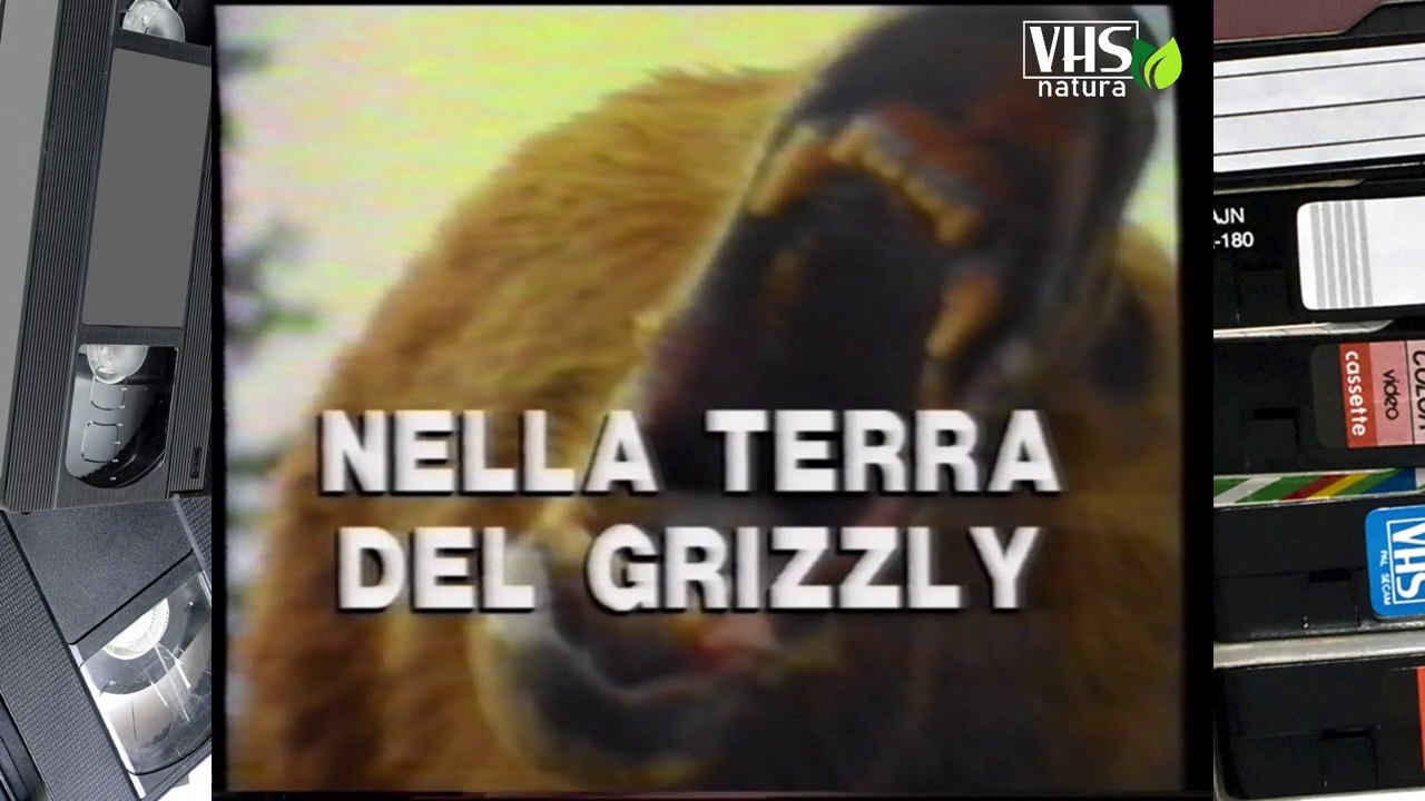 NELLA TERRA DEL GRIZZLY