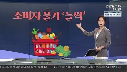 [그래픽 뉴스] 소비자 물가 '들썩'
