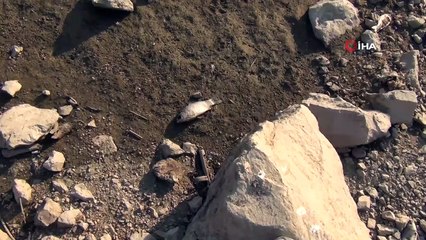 Kapaklar açıldı, susuz kalan balıklar ölmeye başladı