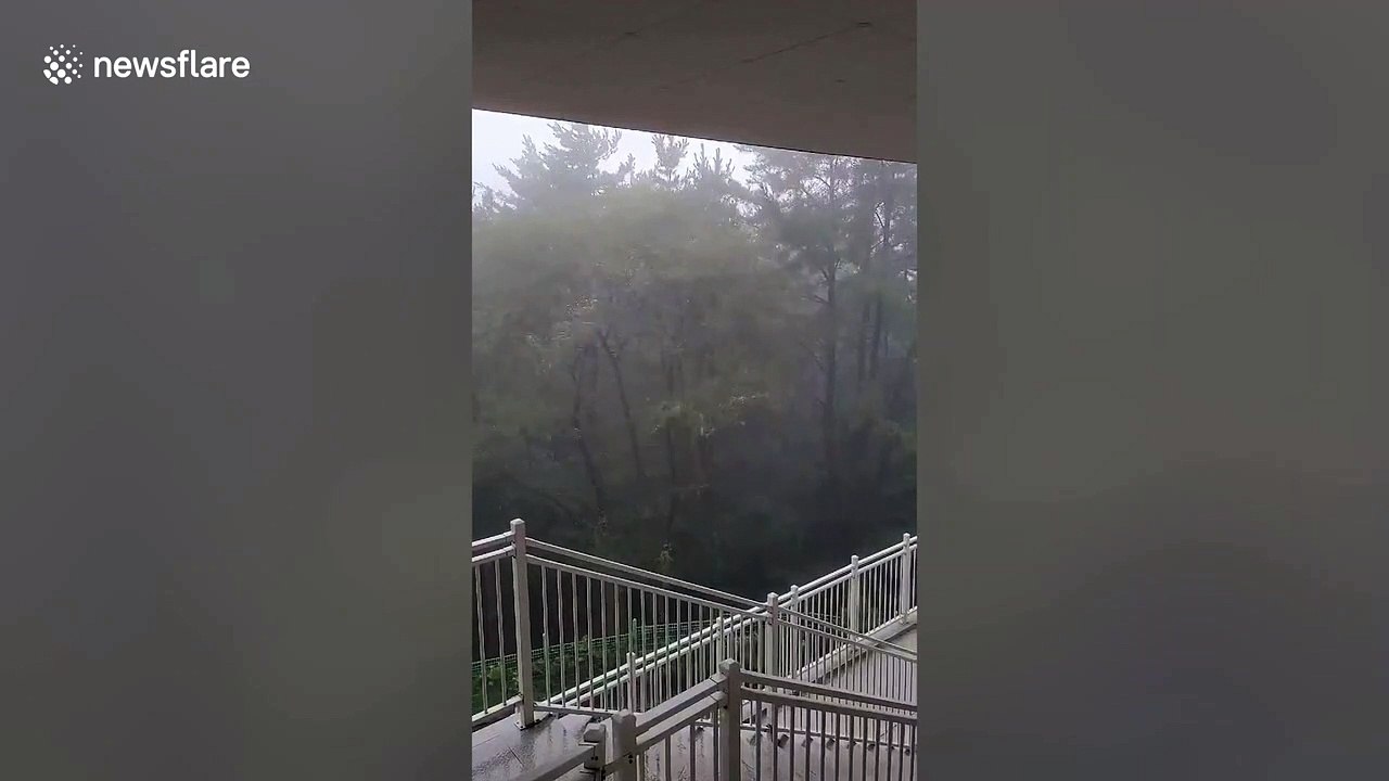 Strong winds batter Jeju as Typhoon Maysak approaches South Korea