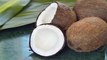 World Coconut Day : जानिए नारियल का भारतीय संस्कृति में Importance & Benefits | Boldsky