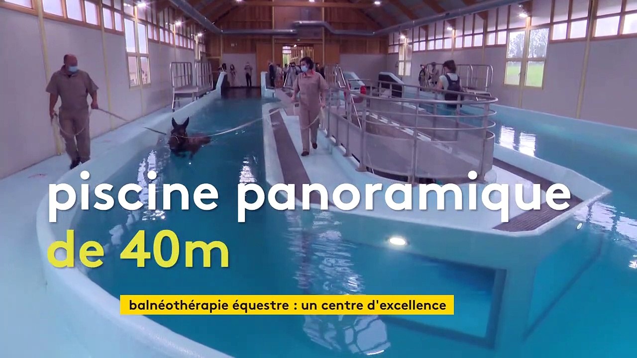 Normandie : un centre de balnéothérapie pour chevaux inauguré dans le Calvados