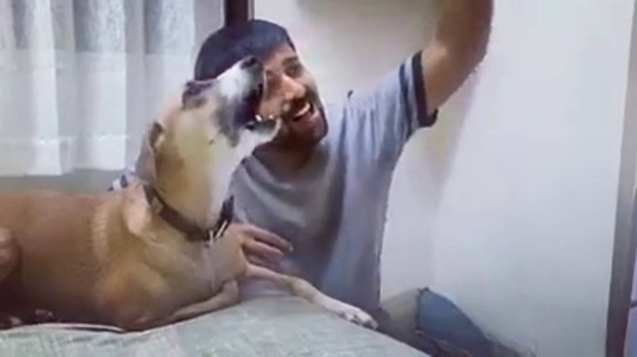 Dog singing