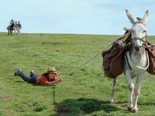 Antoinette dans les Cévennes: Trailer HD st NL