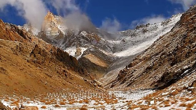 Ladakh snowy time lapse from the depths of winter