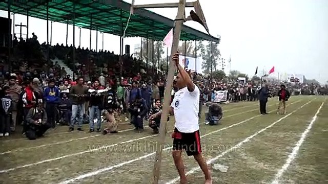 Plough lifting with teeth - happens only at Rural Olympics