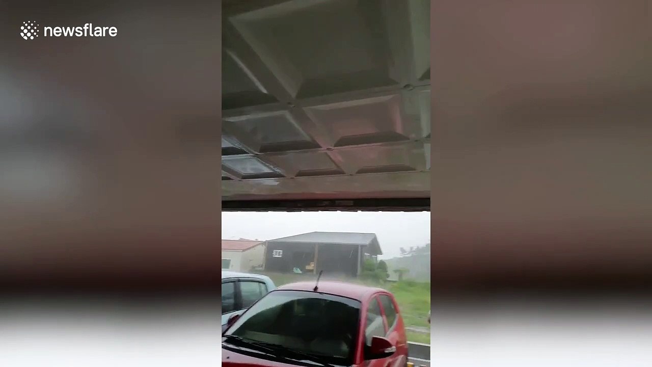 Typhoon Maysak Heavy Rain In Jeju, South Korea