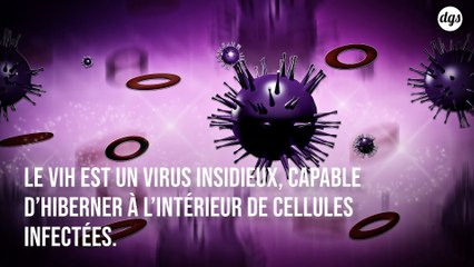 Cette forme d’immunothérapie prometteuse permettrait de traiter efficacement le VIH et le cancer