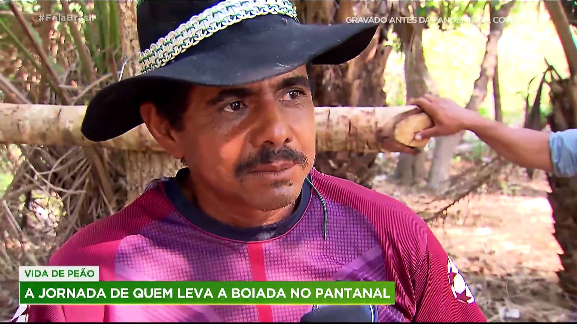 Conheça a vida de encantos e tradições dos boiadeiros no Pantanal - Vídeo  Dailymotion