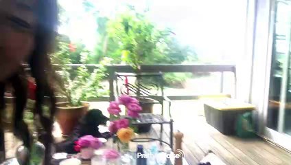 HARD NIPS - The Antikörper Sessions 03. September 2020 (Preview Teaser)