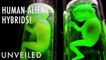 6 Alien Abduction Stories That Will Make You Believe | Unveiled