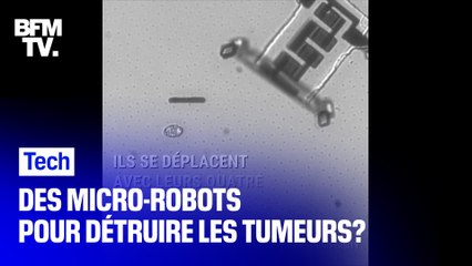 Invisibles à l'oeil nu, ces robots très résistants pourraient un jour être injectés dans le corps humain