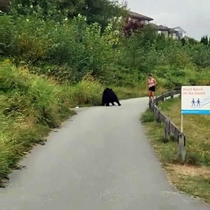 Un ours donne un coup de patte à une joggeuse