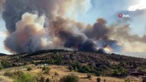 Kastamonu’da 500 hektarlık ormanlık alanda yangın çıktı