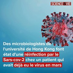 Covid-19 : pourquoi les réinfections ne sont pas inquiétantes