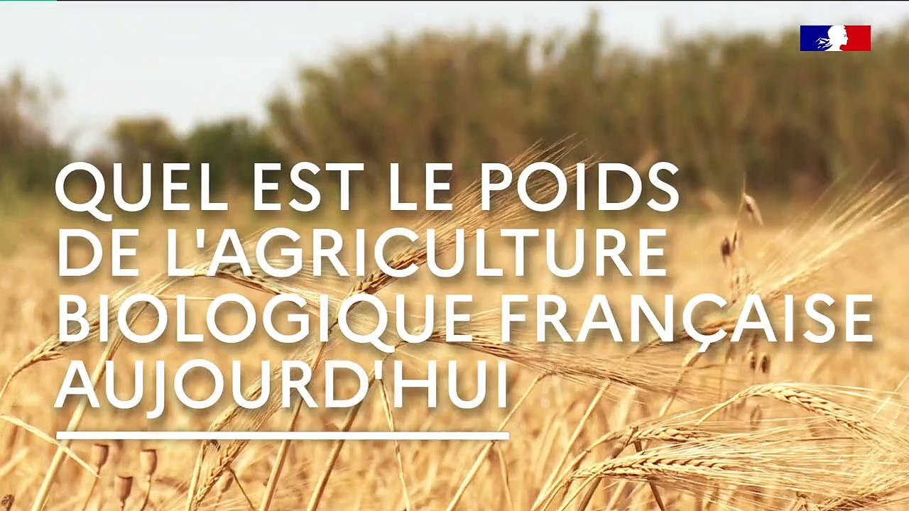 Animation : Quel avenir pour l'agriculture biologique en France ?