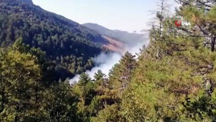 Sındırgı’daki orman yangınında 2 hektarlık alan zarar gördü