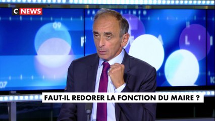 Eric Zemmour : «Toutes les entrées de villes sont massacrées», dans #Facealinfo