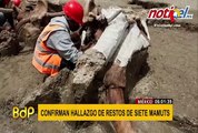 México: descubren restos de al menos 60 mamuts en construcción de nuevo aeropuerto en CDMX