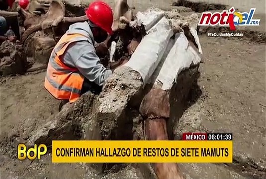 México: descubren restos de al menos 60 mamuts en construcción de nuevo aeropuerto en CDMX