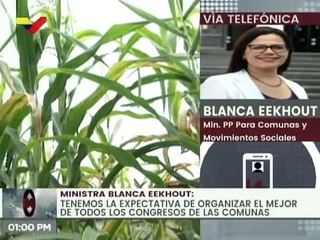 Descargar video: Congreso de las Comunas 2.0 contará con la participación de más de 43 mil Consejos Comunales