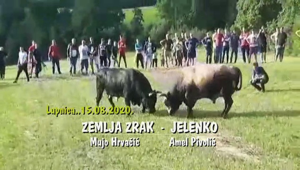 JELENKO ZEMLJA ZRAK LUPNICA 202