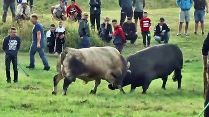 FAP - PERAN KUPRES 2020