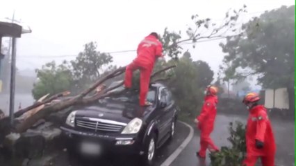 태풍 '마이삭' 부산에 상륙...역대급 비바람에 피해 속출 / YTN