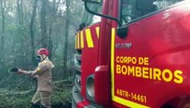 Grande incêndio em vegetação mobiliza Corpo de Bombeiros à estrada Alto São Salvador