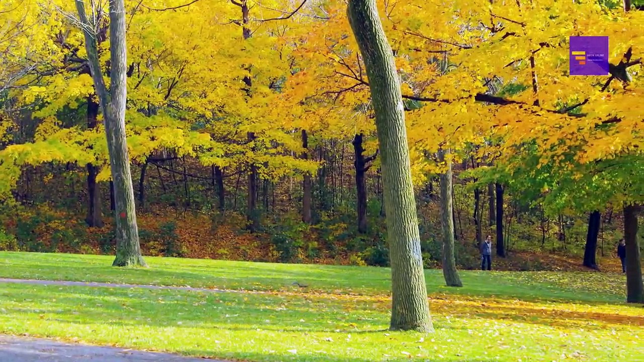 Top 20 seasonal jobs that pay well