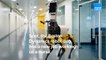 Boston Dynamics' robot dog Spot has a new job working as a nurse.