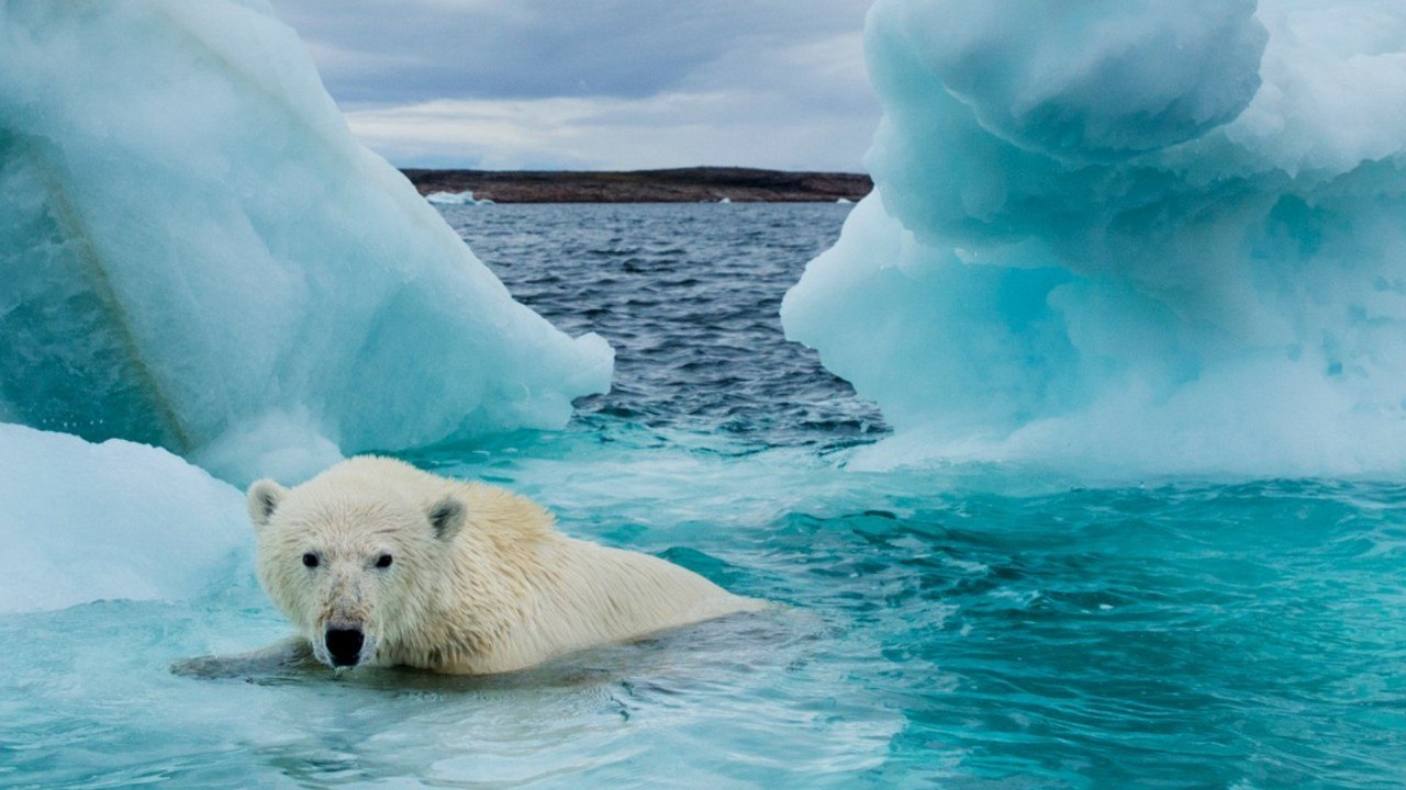 Do The Arctic A Favor: Stop Washing Your Jeans