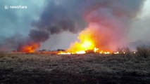 Environmental disaster in Argentina: forest fires burned at least 40.000 hectares in Córdoba