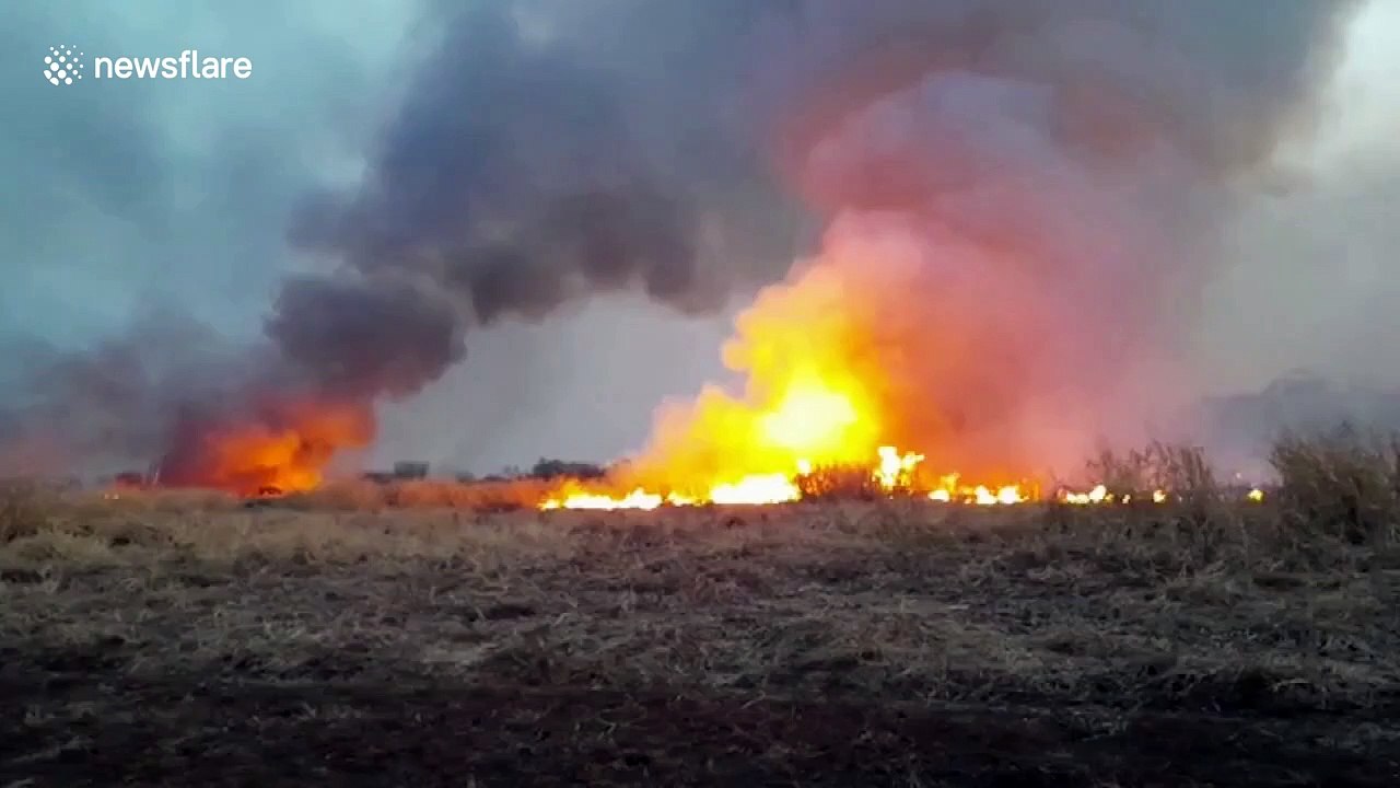 Environmental disaster in Argentina: forest fires burned at least 40.000 hectares in Córdoba