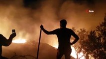 Tire'de zeytinlik alan alev alev yandı