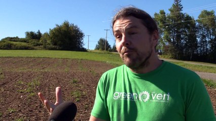 Élections au Nouveau-Brunswick : Le Parti Vert présent au Nord-Ouest