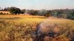 Área de vegetação próxima ao Parque Vitória, no Country, pega fogo