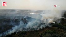 Rusya'da ormanlık alanda yangın: 2 ölü