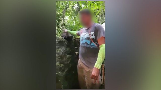 ext-perros-cazadores-chanco-monte-020920