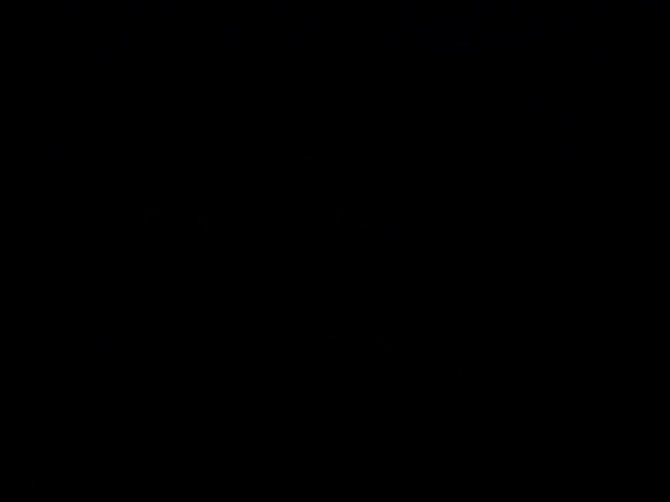 Capitulo 1