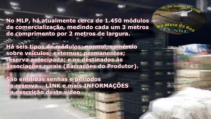 Como os produtores organizam A PEDRA no CEASA/MG - Pavilhão MLP - Mercado Livre do Produtor