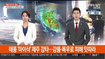 태풍 '마이삭' 제주 강타…강풍·폭우로 피해 잇따라