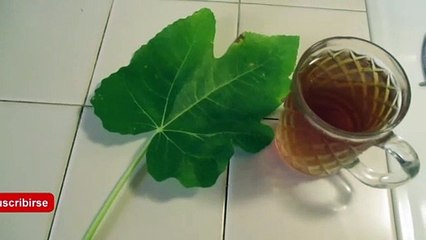 Beneficios del Té  de Hojas de Higo y Como Se Prepara
