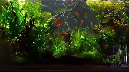 Ondine (2020) - Bande annonce