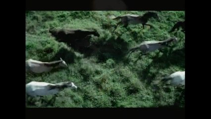 Capitulo 2 - pura sangre sub