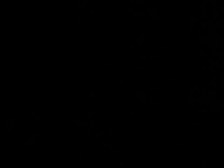 Capitulo 2 - la casa de las dos palmas