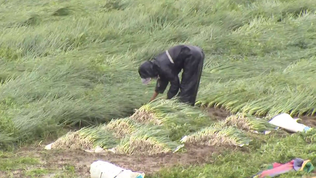 경기 남부 대부분 비 그쳐..."오후까지 매우 강한 바람" / YTN