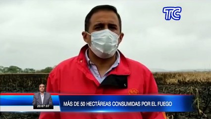 Bomberos lograron controlar un incendio forestal en Manabí